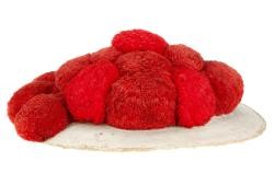 smf_aug_xxx_v-51-004_001_s