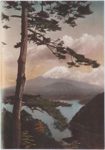 smf_nme_sas_xhf-iv-0275_001_s